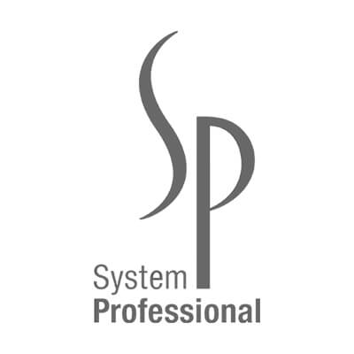 System Professional SP